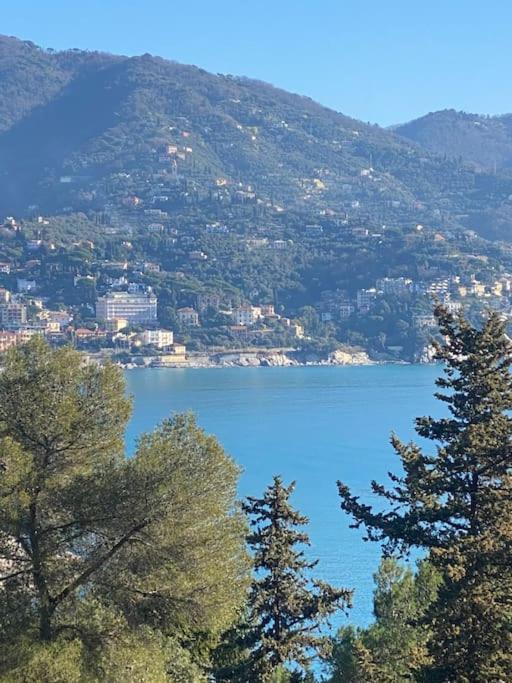 La Casa Di Andrea Grande Appartamento A Due Passi Dalle Spiagge Rapallo Zewnętrze zdjęcie